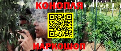 jwh Вязьма