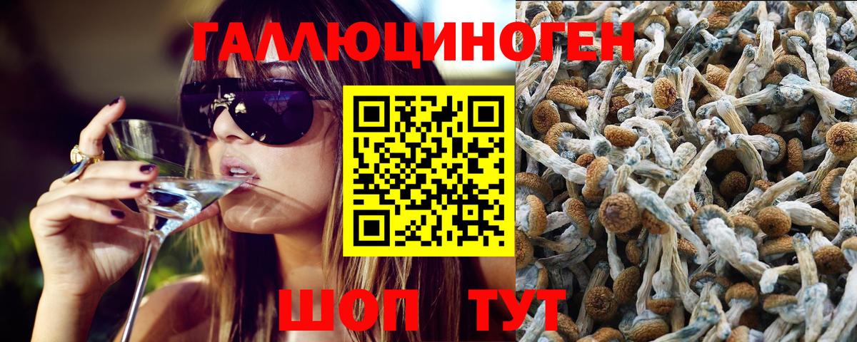 Карпинск  Псилоцибиновые грибы Psilocybe  купить наркотик  Псилоцибиновые грибы прущие грибы  Вход с VPN 