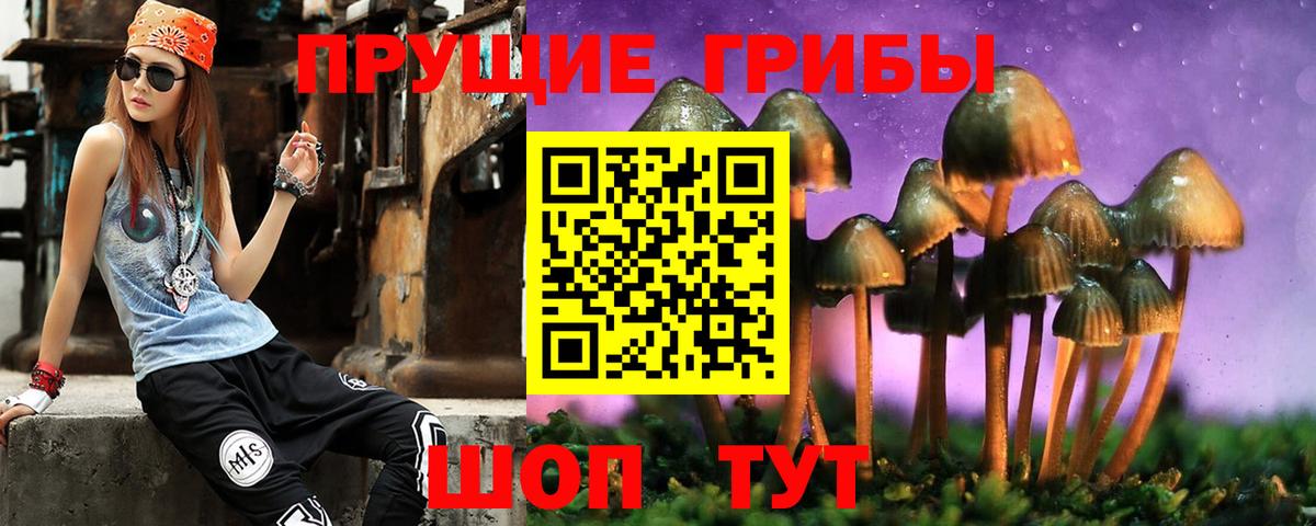Псилоцибиновые грибы мицелий Карпинск